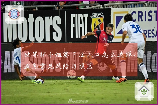 世界杯小组赛下注入口怎么选择，避免常见风险与误区