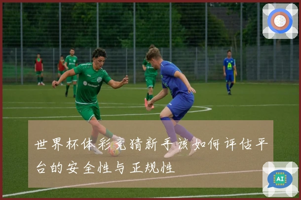 世界杯体彩竞猜新手该如何评估平台的安全性与正规性